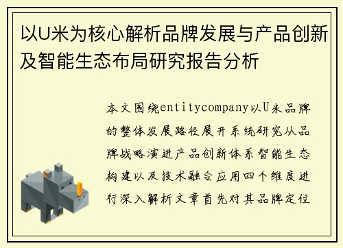 以U米为核心解析品牌发展与产品创新及智能生态布局研究报告分析